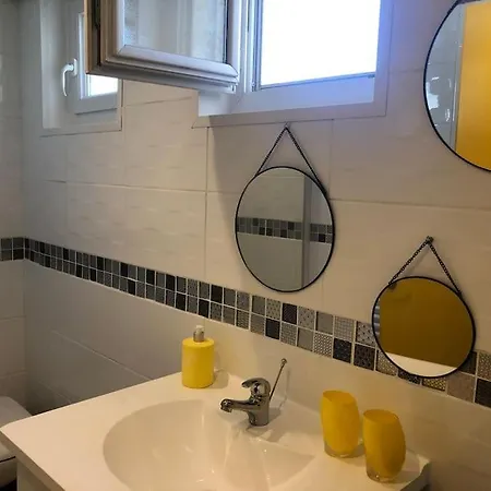 Des Pins Au Coeur De La Foret D'olonne