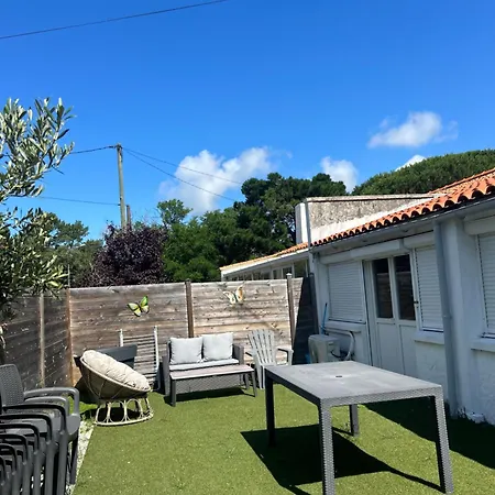 Des Pins Au Coeur De La Foret D'olonne *