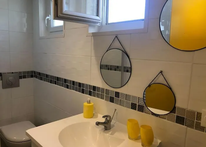 Des Pins Au Coeur De La Foret D'olonne