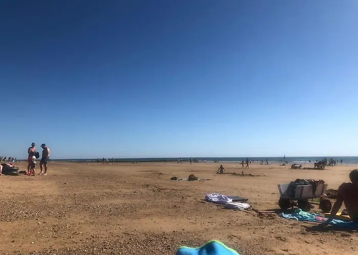 Des Pins Au Coeur De La Foret D'olonne אולון-סור-מר