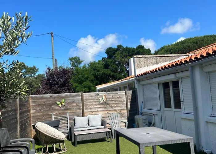 Des Pins Au Coeur De La Foret D'olonne *