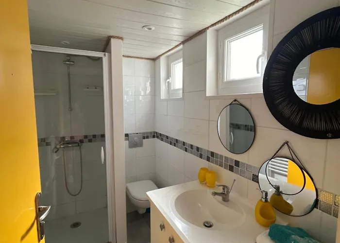 Des Pins Au Coeur De La Foret D'olonne * אולון-סור-מר