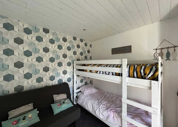 Des Pins Au Coeur De La Foret D'olonne