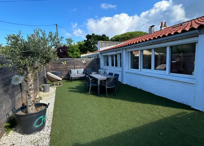 Des Pins Au Coeur De La Foret D'olonne